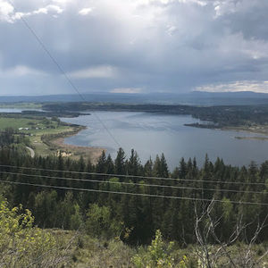 Meet your Posher, Jackson